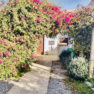  Homestay Lavender Almeria Spain